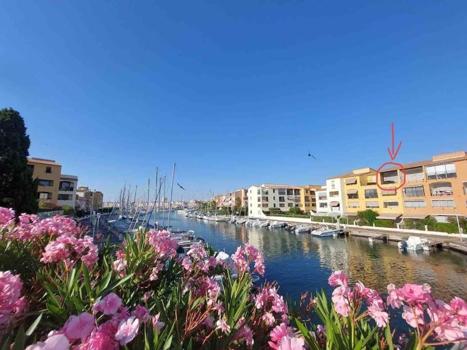 Cap'Nomad Studio Cote Mer - Balcon - Piscine - Parking Agde Zewnętrze zdjęcie